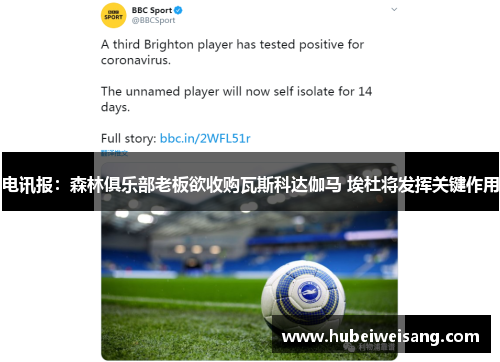 电讯报:森林俱乐部老板欲收购瓦斯科达伽马 埃杜将发挥关键作用 电讯报:森林俱乐部老板欲收购瓦斯科达伽马 埃杜将发挥关键作用