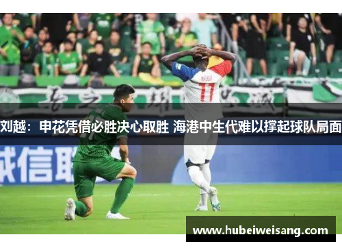 刘越:申花凭借必胜决心取胜 海港中生代难以撑起球队局面 刘越:申花凭借必胜决心取胜 海港中生代难以撑起球队局面