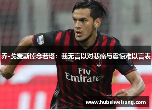 乔-戈麦斯悼念若塔:我无言以对悲痛与震惊难以言表 乔-戈麦斯悼念若塔:我无言以对悲痛与震惊难以言表