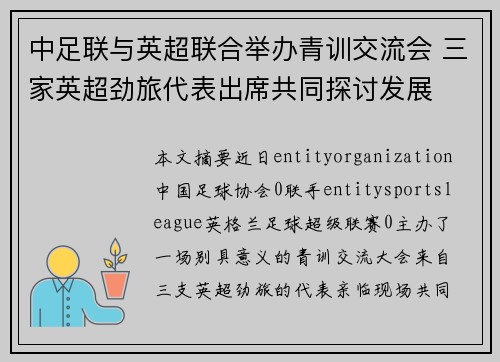 中足联与英超联合举办青训交流会 三家英超劲旅代表出席共同探讨发展 中足联与英超联合举办青训交流会 三家英超劲旅代表出席共同探讨发展